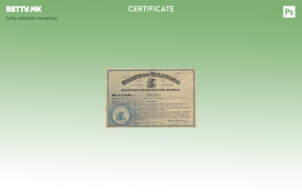 модерен стил Соединетите Американски Држави Шаблон за извод од матична книга н 1